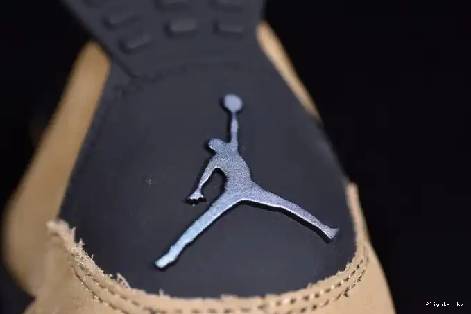 Air Jordan Mushroom AQ9129-200 4 0516